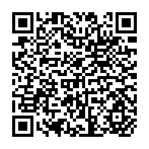 QR Code for Rural Labour Markets, Transaction Cost and Fertility