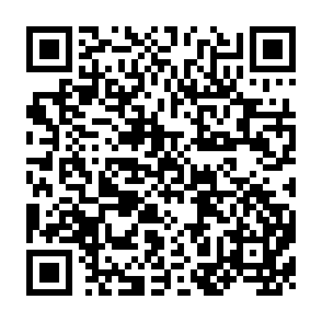 QR Code for 1.Process documentation:Social science research in a learning process approach to program development                                                                                        2.A manual for participant observers in process documentation reasearch