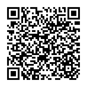 QR Code for Conceptual framework and guidelines for establishing geographic information systems