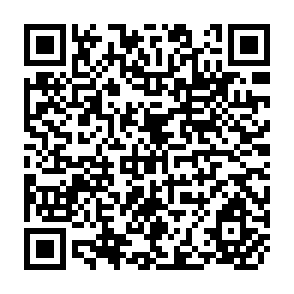 QR Code for Public Economics