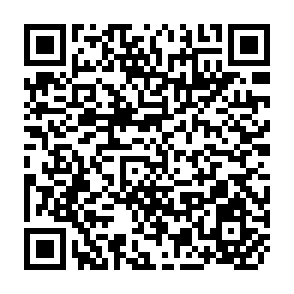 QR Code for Programming Techniques - Simulation