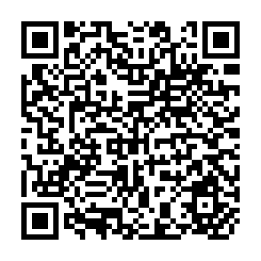 QR Code for The Unstable Economy: Booms and Recessions in The U.S. Since 1985