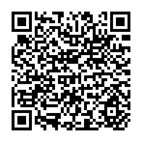 QR Code for Institutions and Incentives in India's Food Security Structure