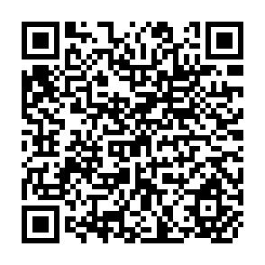QR Code for Roort Law