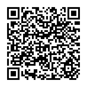 QR Code for Cases and Materials on Labour Law: Process and Policy