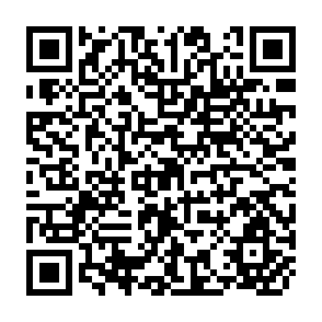 QR Code for The Effect of Fertiliser on Risk: A Heteroscedastic Production Function with Measurable Stochastic Inputs