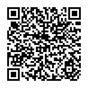 QR Code for The Contribution Of Agriculture To Economic Growth