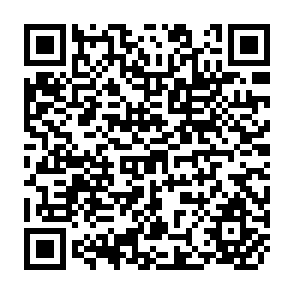 QR Code for The Growth of Aggregate Unemployment in India- Trends, Sources and Macroeconomic Policy Optionas