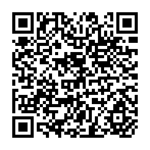 QR Code for Interest Rate Management in Developing Countries: Theory and Simulation Results for Korea