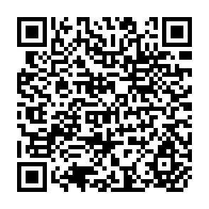 QR Code for Policy Analysis of Shadow Pricing,Foreign Borrowing, and Resource Extraction in Egypt