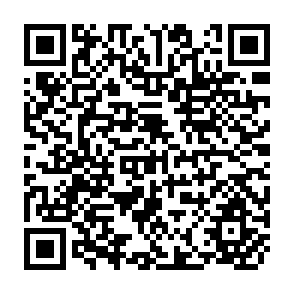 QR Code for Privete Bank Lending to Developing Countries: Past, Present, And Future