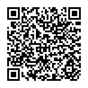 QR Code for Multisector Models and the Analysis of Alternative Development Strategies : An Application to Korea
