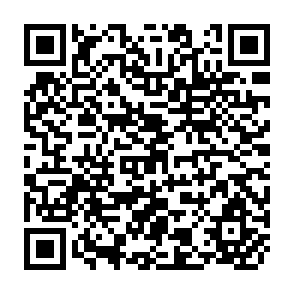 QR Code for Oil Revenues and Policy Choice in Nigeria