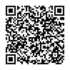 QR Code for Price Distrotions And Growth In Developing Countries