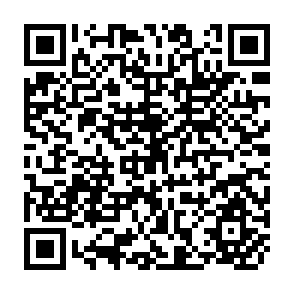 QR Code for Capital Accumulation in Eastern and Southern Africa A Decade of Setbacks