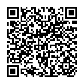 QR Code for Analysing the Impact of Health Services