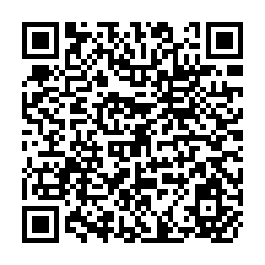 QR Code for Alternative Mechanisms for Financing Social Security