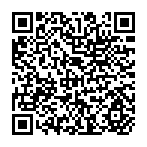 QR Code for Macroeconomic and Distributionl Implications of Sectoral Policy Intevention