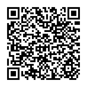 QR Code for Some Temporal Aspects of Development : A Survey