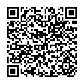 QR Code for Domestic Resource Mobilization in Pakistan Selected Issues