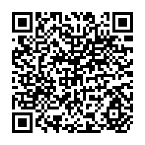 QR Code for Irrigation System Management Research and Selected Methodological Issues