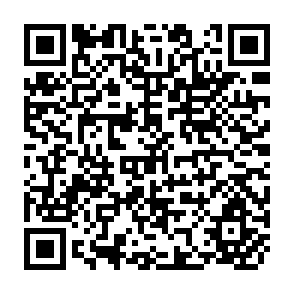 QR Code for Design Parameters for Effective Water Distribution in Diversion Irrigation Systems in the Philippines
