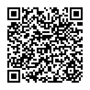 QR Code for Directions of Agrarian Reform in the Coconut Sector