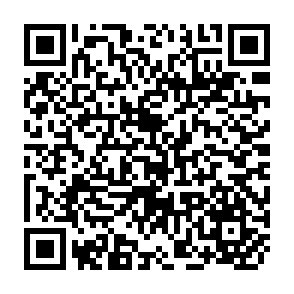 QR Code for Guidelines for the building of authority files in development-information systems