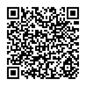 QR Code for Impact of trade and macroeconomic policies on growth: The south american experience