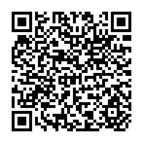 QR Code for Productivity and Employment Implications Of Small Scale Farming in Asia