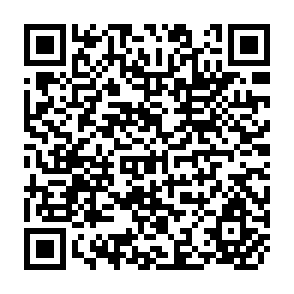 QR Code for The Political Economy of Small Farmer Loan Delinquncy