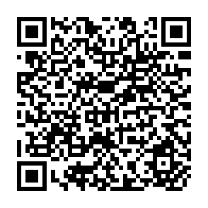 QR Code for Land and Labor in Guatemala:An Assessment
