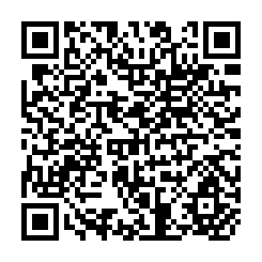 QR Code for The Kibbutz Settlement