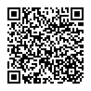 QR Code for A Multi-Purpose Household Questionnaire:Basic Economic and Demographic Modules