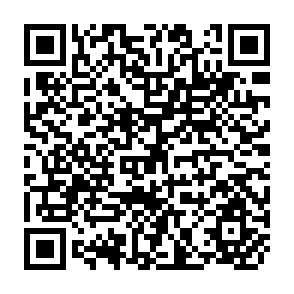 QR Code for The Dynamics of Rural Poverty