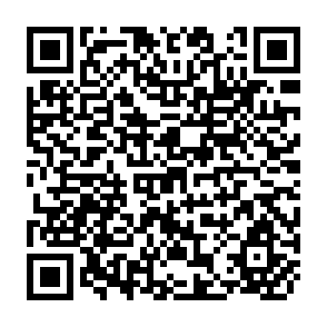 QR Code for Famine:Causes, Prevention, and Relief
