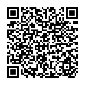 QR Code for The Dominance of the Internal rate of return as a planning criterion and the treatment of O&M Costs in feasibility Studies