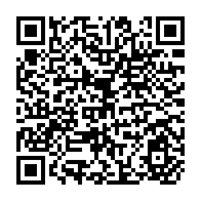 QR Code for Japanese Agriculture as Viewed from Money Flow: A Case Study of a Tohoku Village