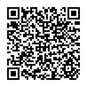 QR Code for Employment Expansion in Asian Agriculture: A Comparative analysis of South Asian Countries by ILO/Artep