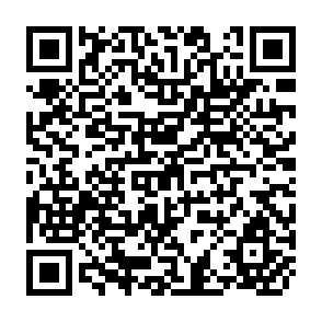 QR Code for Planning Capital Inflows for Southeast Asia