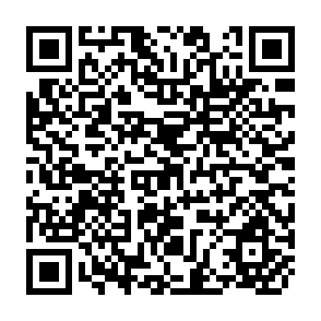 QR Code for Interation of National Planning and Budgeting