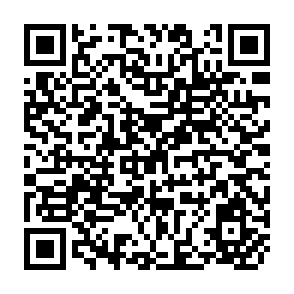 QR Code for Emerging Trends in Development Theory (Report from a SAREC Workshop)