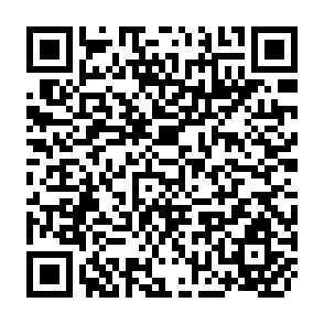 QR Code for Wood Energy Systems in Rural Industries and Village Activities