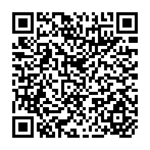 QR Code for Wood Fuel Surveys