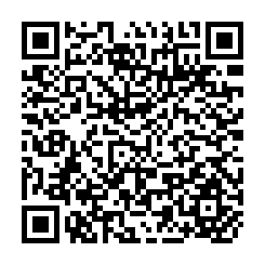 QR Code for Studien Zur Integrierten Landlichen Entwicklung 14