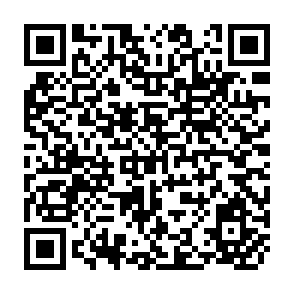 QR Code for The Costs of Economic Growth