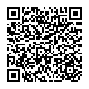 QR Code for Marketing and Price Incentives in African and Asian Countries: A Comparison