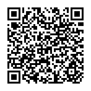 QR Code for The Pilot Food Price Subsidy Scheme In the Philippines: Its Impact on Income , Food Consumption , And Nutritional Status