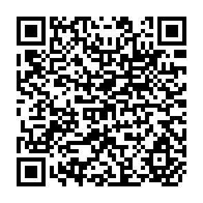 QR Code for Report On Evaluation Of CIRDAP Networks' Documentation And Information Systems