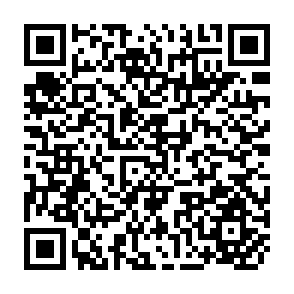 QR Code for Manual on IRD Plan Formulation, Implementation Monitoring and Evaluation- India